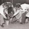 484. Feste 1953